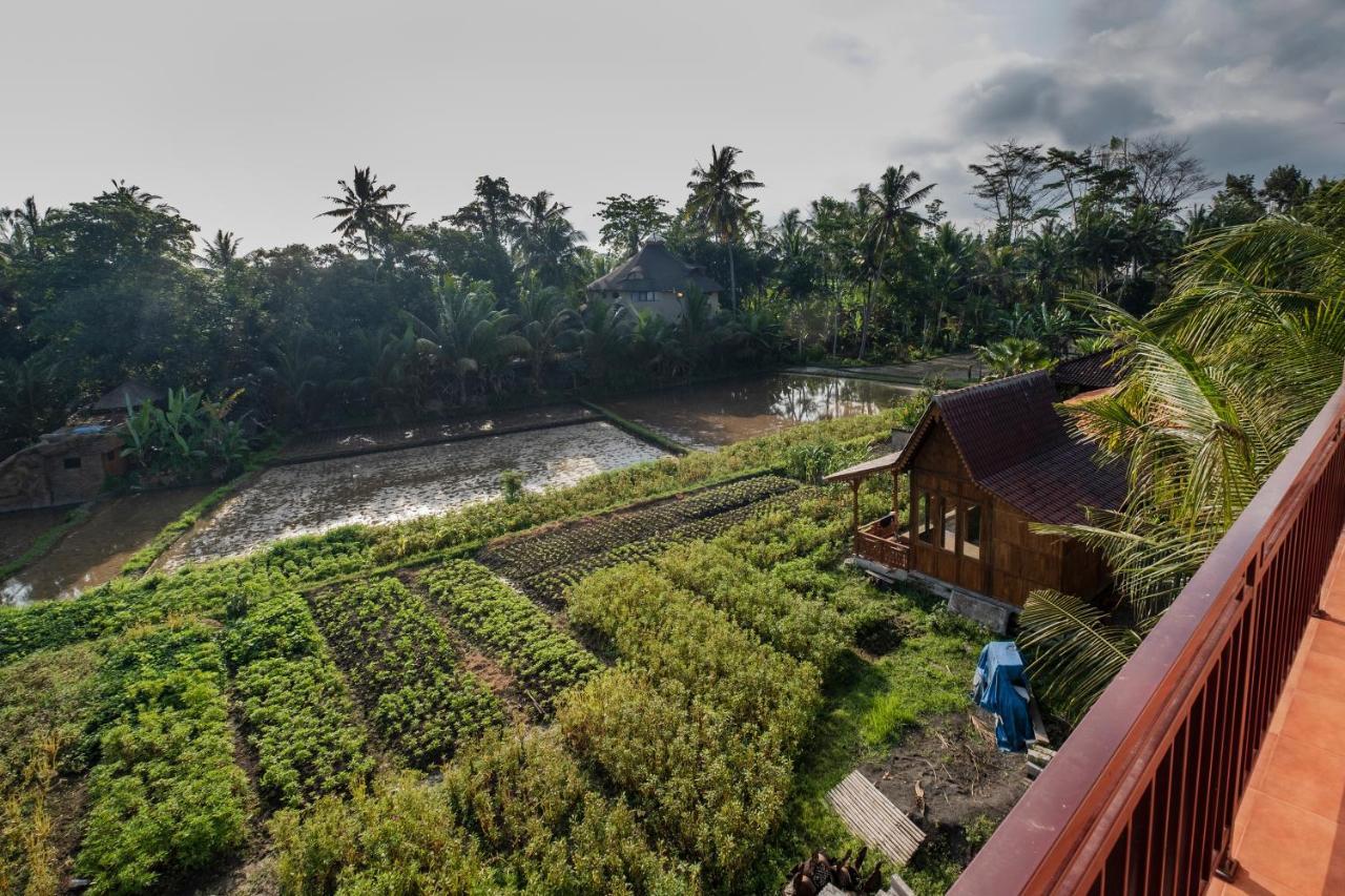 דירות Kemangi, Katik Lantang, Ubud, Bali מראה חיצוני תמונה