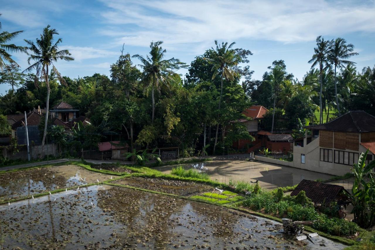 דירות Kemangi, Katik Lantang, Ubud, Bali מראה חיצוני תמונה